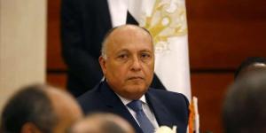 شكري يتوجه إلى جنوب أفريقيا لرئاسة الوفد المصري في اجتماعات اللجنة المشتركة - مصر النهاردة
