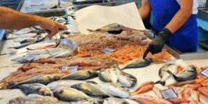 أسعار الأسماك اليوم، السبيط يسجل 420 جنيهًا في سوق العبور - مصر النهاردة