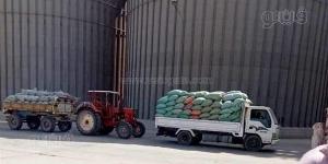 توريد 2848 طنًا من محصول القمح إلى صوامع المنيا خلال 5 أيام - مصر النهاردة