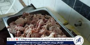 ضبط نصف طن لحوم فاسدة قبل استعمالها بأحد المطاعم بدمياط.. صور منذ أقل من دقيقتين - مصر النهاردة
