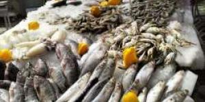 عاجل | انخفاض كبير في أسعار السمك اليوم بعد مبادرة المقاطعة في بورسعيد - مصر النهاردة