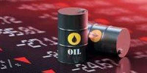 رئيس "جي بي مورغان" يكشف توقعات أسعار النفط خلال الفترة المقبلة - مصر النهاردة