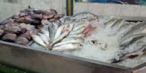 مفاجأة | 3 عائلات تتحكم بأسعار الأسماك فى سوق العبور.. فيديو - مصر النهاردة