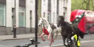 خيول الجيش البريطاني تركض وسط لندن وتحدث إصابات - مصر النهاردة