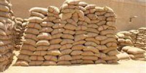 توريد 22 ألف طن من محصول القمح بالشون والصوامع الحكومية بمراكز المنيا - مصر النهاردة