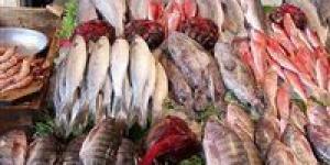أسعار السمك اليوم الخميس 25 - 4 – 2024 في السوق المصري - مصر النهاردة