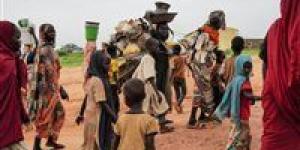 الفاو: نحذر من مجاعة في السودان تبدأ من دارفور - مصر النهاردة