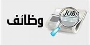 معلومات الوزراء يستعرض مقترحا بتدشين منصة إلكترونية رسمية في شأن الوظائف الخضراء - مصر النهاردة