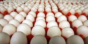 الأرخص بـ 84 جنيهًا، انخفاض أسعار البيض في السلاسل الغذائية - مصر النهاردة