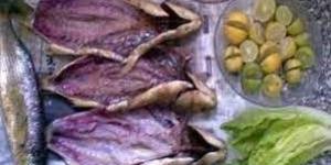 فوائد وخبايا الأسماك المملحة في شم النسيم.. بدائل صحية للفسيخ.. ونصائح لتناول وجبة آمنة - مصر النهاردة