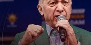 تركيا: قطع العلاقات التجارية مع إسرائيل مستمر حتى وقف إطلاق النار بغزة - مصر النهاردة