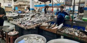 الغرفة التجارية: أسماك البردويل دخلت بكميات كبيرة وستخفض الأسعار (فيديو) - مصر النهاردة