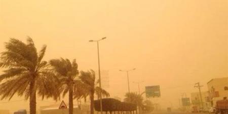 لجنة بقنا لحصر الخسائر الناتجة عن تعرض البلاد لموجة الطقس السيئ - مصر النهاردة