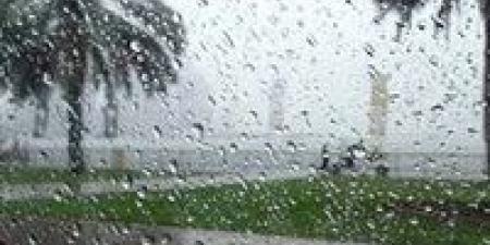 حالة الطقس اليوم في مصر.. أمطار تصل إلى حد السيول بهذه المناطق والصغرى بالقاهرة 18 درجة مئوية - مصر النهاردة