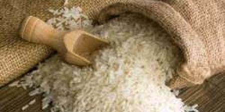 أسعار الأرز الشعير اليوم السبت 27 أبريل 2024.. آخر تحديث - مصر النهاردة