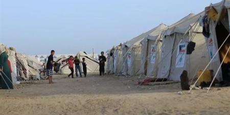 مخيم لإيواء اليتامى وأمهات الشهداء في غزة (فيديو) - مصر النهاردة
