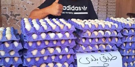 صدق أو لا تصدق، سعر كرتونة البيض بالقليوبية تنخفض إلى 60 جنيها بعد دعوة المقاطعة (صور) - مصر النهاردة