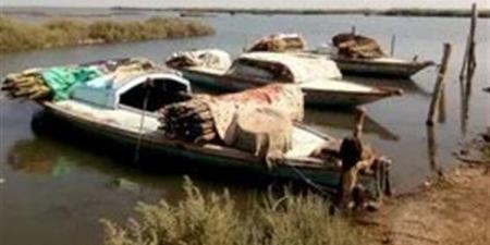 حملة أمنية تستهدف قوارب الصيد العشوائية ببحيرة البرلس وتضبط 56 قضية - مصر النهاردة