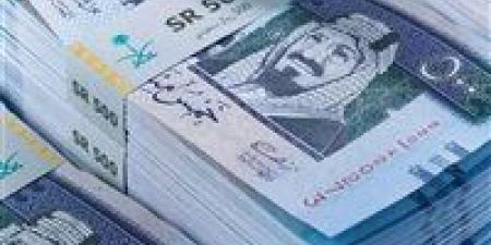 سعر الريال السعودي اليوم الأحد في البنوك - مصر النهاردة