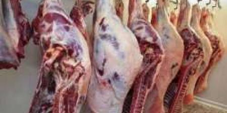 مفاجأة في أسعار اللحوم الحمراء اليوم بالأسواق ومنافذ وزارة الزراعة قبل عيد الأضحى - مصر النهاردة