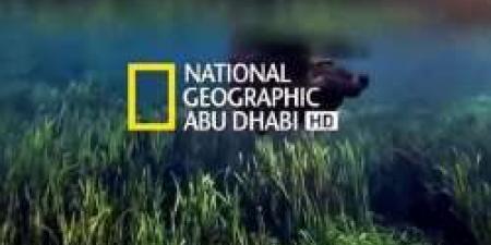تردد قناة ناشيونال جيوغرافيك المفتوحة نايل سات 2024 بجودة HD - مصر النهاردة