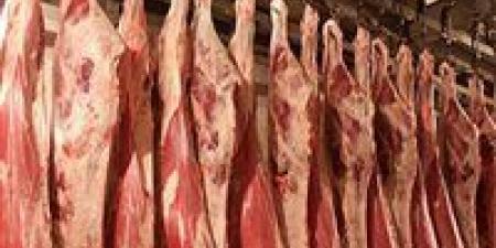 سعر اللحوم في السوق المصري اليوم الاثنين 29 - 4 – 2024 - مصر النهاردة