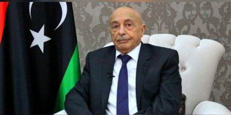رئيس البرلمان الليبي: جاهزون للانتخابات الرئاسية والبرلمانية 2024 - مصر النهاردة
