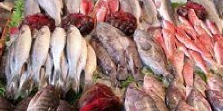 أسعار السمك اليوم الاثنين 29 أبريل 2024 - مصر النهاردة