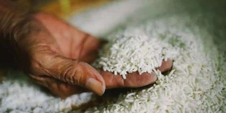 تراجع سعر الأرز في السوق اليوم الإثنين 29 أبريل 2024 - مصر النهاردة