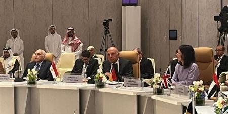 في الاجتماع الوزاري العربي الأوروبي، شكري يدعو العالم للاعتراف بالدولة الفلسطينية - مصر النهاردة