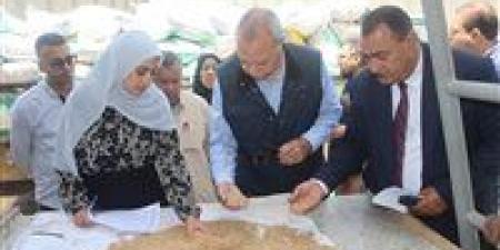 محافظ القليوبية: حصاد 20 ألف فدان قمح على مستوى المحافظة - مصر النهاردة