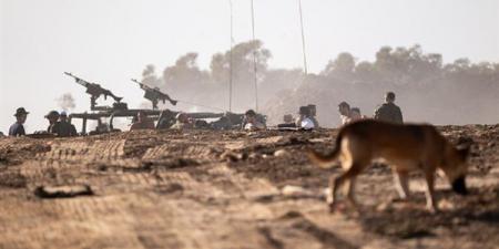 كلاب المستوطنين تهاجم جنودا إسرائيليين في الخليل - مصر النهاردة