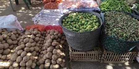 أسعار الخضراوات اليوم، البصل يتراجع 9 جنيهات في سوق العبور - مصر النهاردة