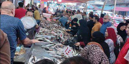 البلطي بـ 60 جنيهًا، انخفاض أسعار الأسماك في دمياط (فيديو وصور) - مصر النهاردة