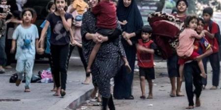 المرصد الأورومتوسطي لحقوق الإنسان: لا يوجد بيت في قطاع غزة يخلو من التهاب الكبد الوبائي - مصر النهاردة