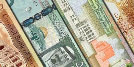 أسعار صرف العملات العربية مقابل الجنيه صباح اليوم - مصر النهاردة