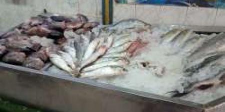 تراجع أسعار الأسماك والدواجن والبيض اليوم الأربعاء 1 مايو 2024 - مصر النهاردة