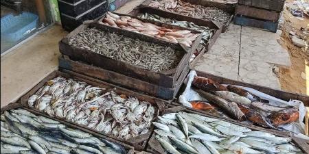 أحدث أسعار الأسماك اليوم الأربعاء في سوق العبور - مصر النهاردة