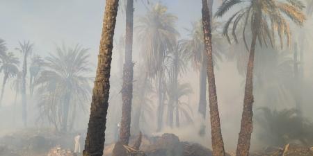 عاجل .. حريق هائل في زراعات مركز ادفو بأسوان - مصر النهاردة