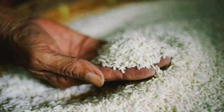 سعر كيلو الأرز اليوم الأربعاء 1 مايو 2024 في الأسواق - مصر النهاردة