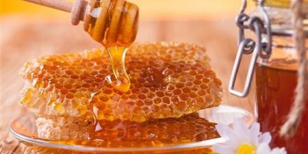 تفسير حلم أكل العسل في المنام وعلاقته بزوال الهم والضيق والكرب - مصر النهاردة