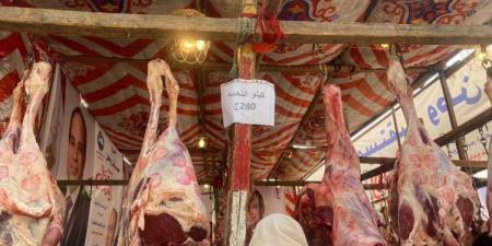 انخفاض كبير في أسعار اللحوم بالأسواق اليوم الخميس - مصر النهاردة