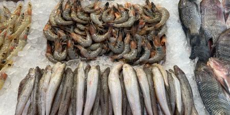 أسعار الأسماك اليوم، ارتفاع البلطي والبوري وانخفاض الجمبري في سوق العبور - مصر النهاردة