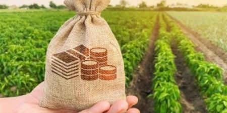 خطة لزيادة حجم التبادل التجاري للمنتجات الزراعية بين مصر والسعودية - مصر النهاردة