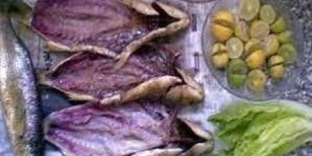 فوائد وخبايا الأسماك المملحة في شم النسيم.. بدائل صحية للفسيخ.. ونصائح لتناول وجبة آمنة - مصر النهاردة