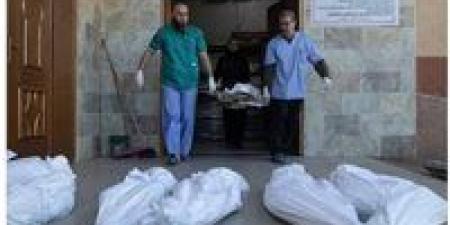 الصحة العالمية: الهجوم العسكري على رفح سيؤدي لتوقف المساعدات الطبية لغزة - مصر النهاردة