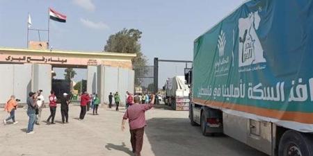 وصول 237 شاحنة مساعدات لغزة عبر معبري رفح وكرم أبو سالم - مصر النهاردة