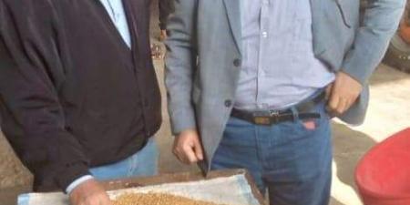 أحدث إحصاء لتوريدات القمح للشون والصوامع في الدقهلية (صور) - مصر النهاردة