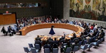 الجزائر تطلب عقد اجتماع لمجلس الأمن الدولي بشأن المقابر الجماعية في غزة - مصر النهاردة