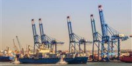 ميناء دمياط يستقبل 13 سفينة و185 حاوية بإجمالي بضائع تتجاوز 66 ألف طن - مصر النهاردة